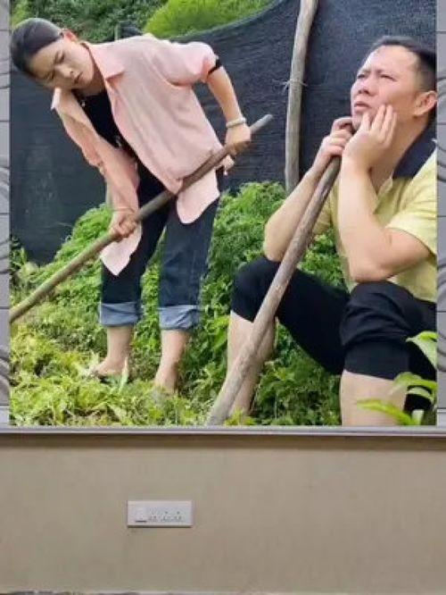 娱乐吃瓜粉丝探班,粉丝探班揭秘明星幕后生活